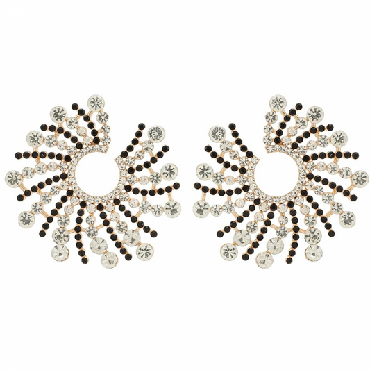 Cercei Amari, rotunzi, mix argintiu cu negru, decorati cu pietre